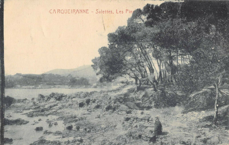 Carte postale ancienne Carqueiranne Salettes Les Pins à Carqueiranne