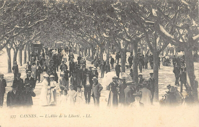 Carte postale ancienne Cannes L'Allee De La Liberte à Cannes