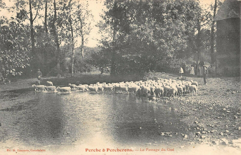 Carte postale ancienne Perche Et Percherons Passage Du Gue