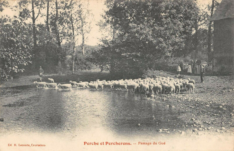 Carte postale ancienne Perche Et Percherons Passage Du Gue