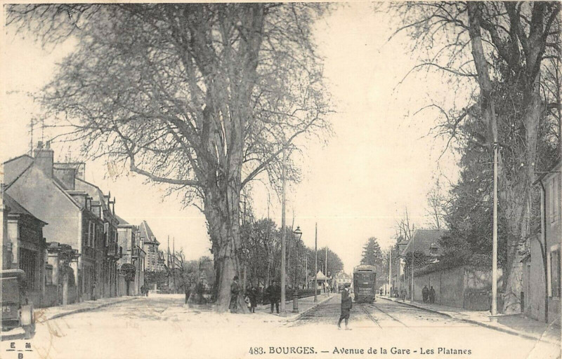 Carte postale ancienne Bourges Avenue De La Gare Les Platanes à Bourges