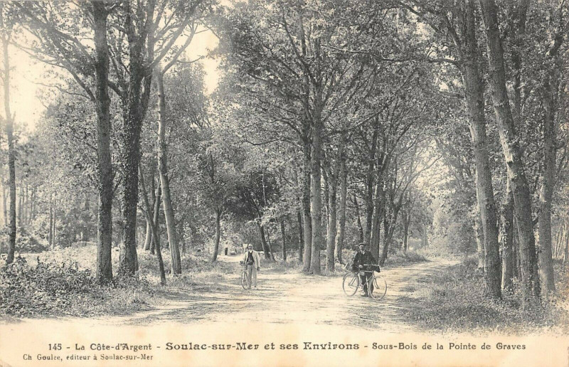 Carte postale ancienne Soulac Sur Mer Et Ses Environs Sous Bois De La Pointe Des Graves à Soulac-sur-Mer