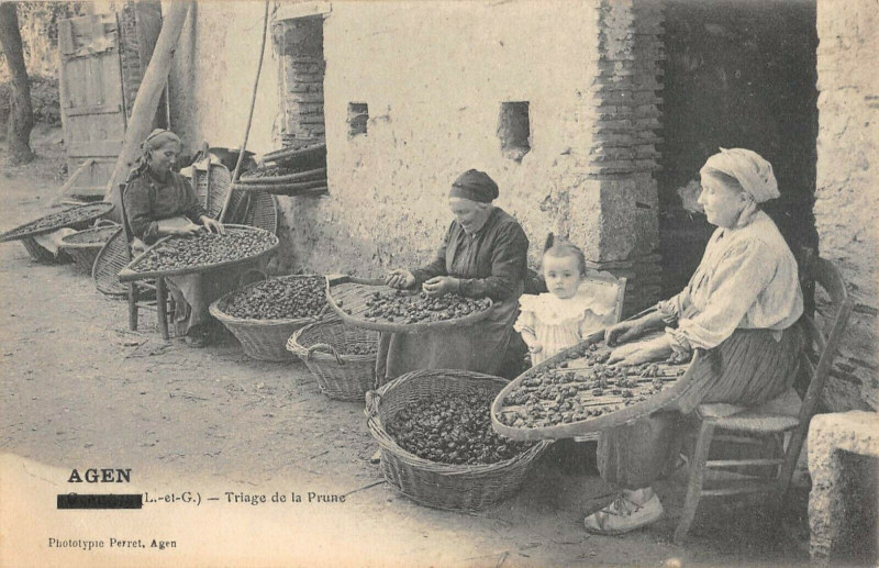 Carte postale ancienne Agen Triage De La Prune à Agen
