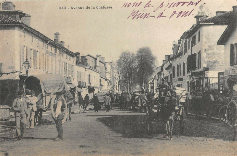 Carte postale ancienne Dax Avenue De La Chalosse à Dax
