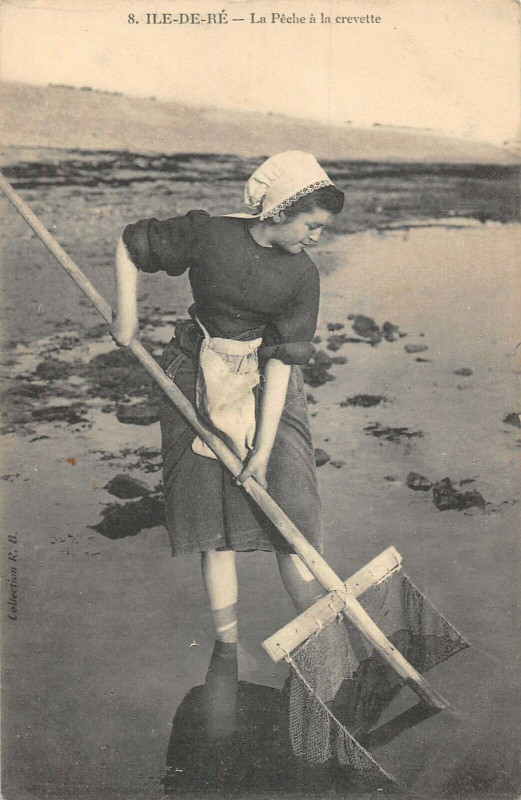 Carte postale ancienne Ile De Re La Peche A La Crevette