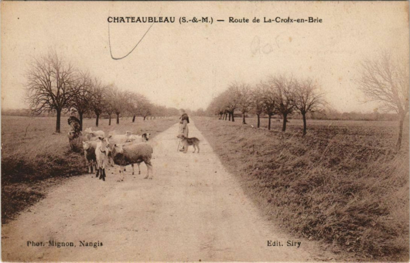 Carte postale ancienne Chateaubleau Route de la Croix-en-Brie repr.1930's à La Croix-en-Brie