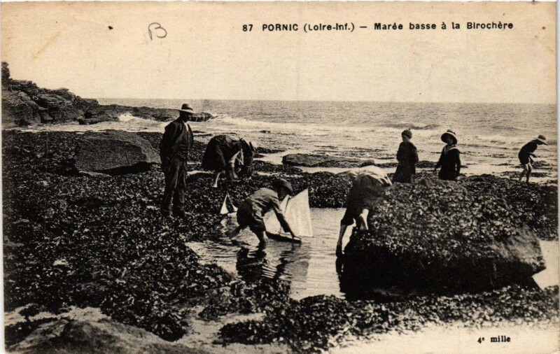 Carte postale ancienne Pornic - Marée basse a la Birochere à Pornic