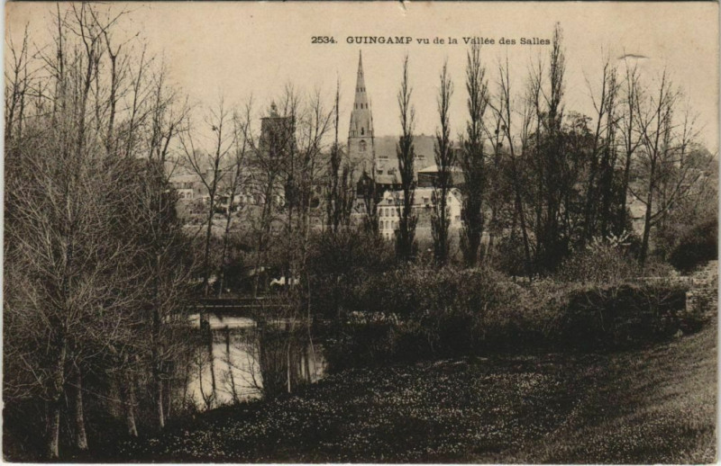 Carte postale ancienne Guingamp Vu de la Vallee des Salles à Guingamp