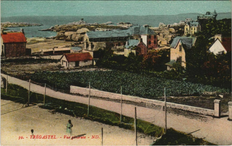 Carte postale ancienne Tregastel Vue Generale