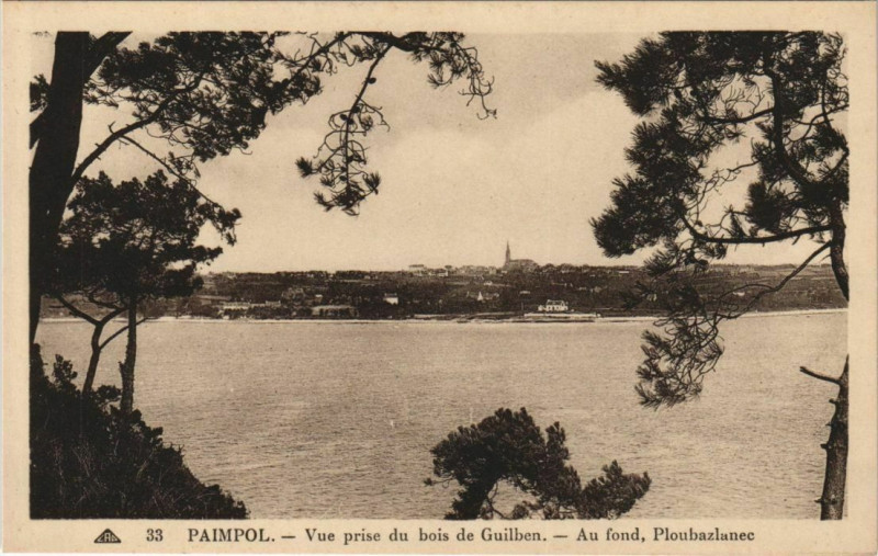 Carte postale ancienne Paimpol Vue prise du Bois de Guilben à Paimpol