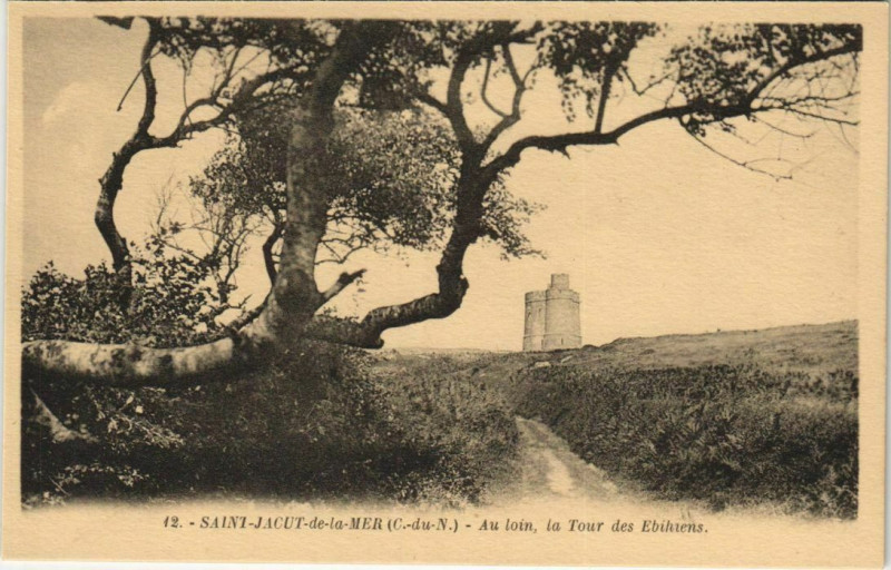 Carte postale ancienne Saint-Jacut-de-la-Mer Au Loin La Tour des Ebihiens à Saint-Jacut-de-la-Mer
