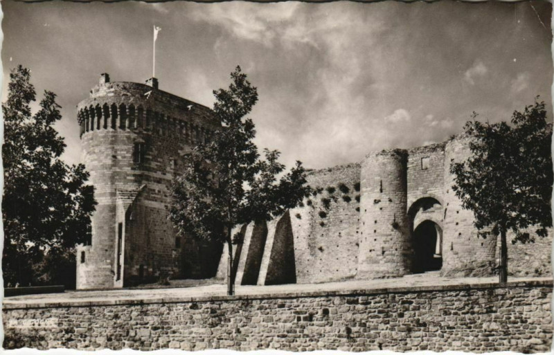 Carte postale ancienne Dinan Le Chateau de la Duchesse Anne à Dinan