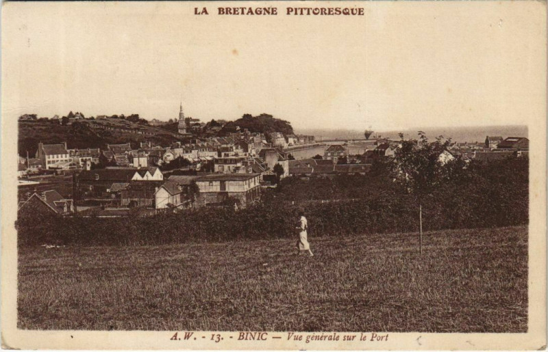 Carte postale ancienne Binic Vue Generale sur le Port