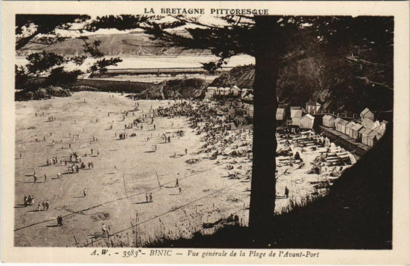 Carte postale ancienne Binic Vue Generale de la Plage de l'Avant-Port