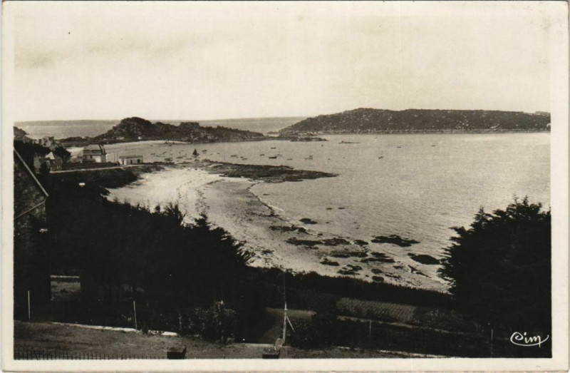 Carte postale ancienne Trebeurden Panorama sur le Castel et l'Ile Millau