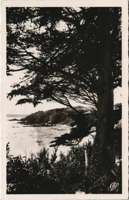 Carte postale ancienne Etables-sur-Mer La Plage a Travers les Pins