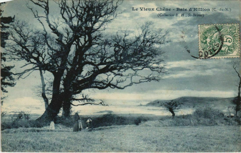 Carte postale ancienne Hillion Le Vieux Chene - Baie d'Hillion à Hillion