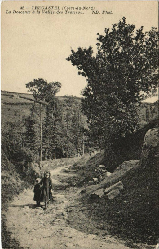Carte postale ancienne Tregastel La Descente a la Vallee des Troierou