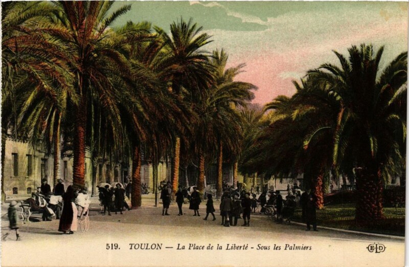 Carte postale ancienne Toulon La Place de la Liberté-Sous les Palmiers à Toulon