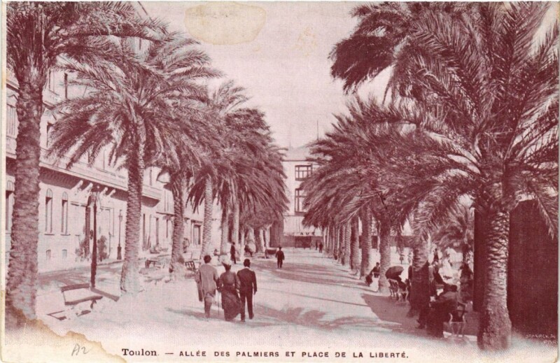 Carte postale ancienne Toulon Allée des Palmiers-Place de la Liberté à Toulon