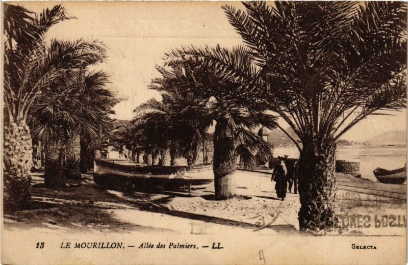 Carte postale ancienne Toulon Le Mourillon-Allée des Palmiers à Toulon