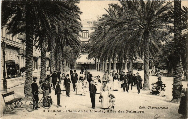Carte postale ancienne Toulon Place de la Liberté-Allée des Palmiers à Toulon