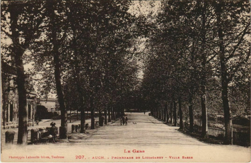 Carte postale ancienne Auch Promenade de Lissagarey - Ville Basse à Auch
