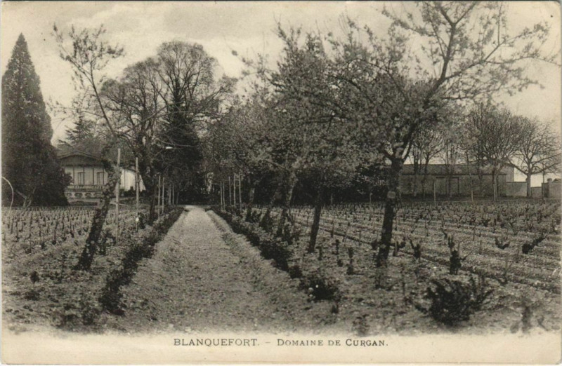 Carte postale ancienne Blanquefort Domaine de Curgan à Blanquefort