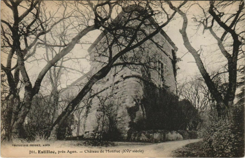 Carte postale ancienne Estillac Chateau de Montluc France à Estillac