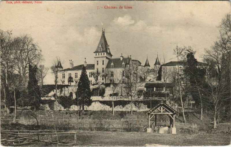 Carte postale ancienne Chateau de Lisse France
