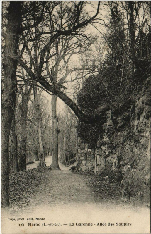 Carte postale ancienne Nerac La Garenne Allee des Soupirs France