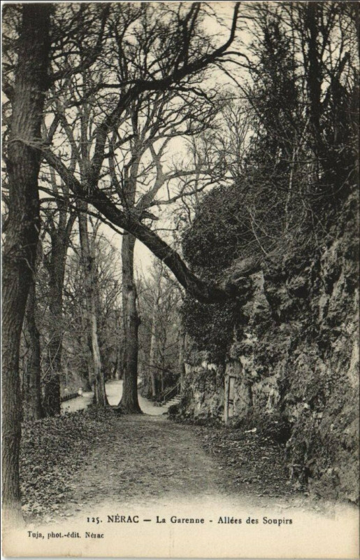 Carte postale ancienne Nerac Allees des Soupirs France