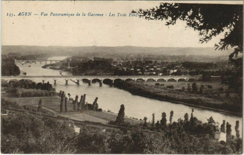 Carte postale ancienne Agen Vue Panoramique de la Garonne France à Agen