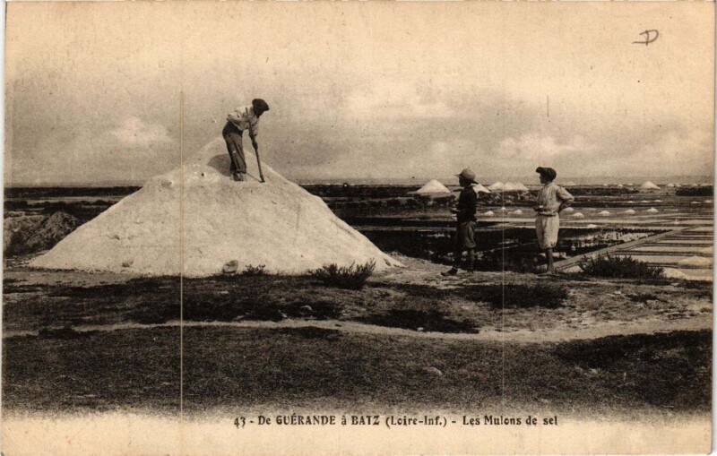 Carte postale ancienne De Guerande a Batz - Les Mulens de sel