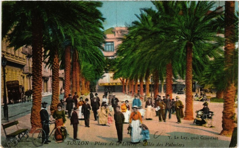 Carte postale ancienne Toulon Place de la Liberté-Allée des Palmiers à Toulon