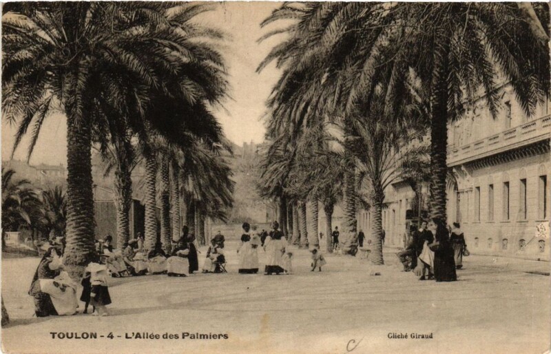 Carte postale ancienne Toulon Allée des Palmiers à Toulon
