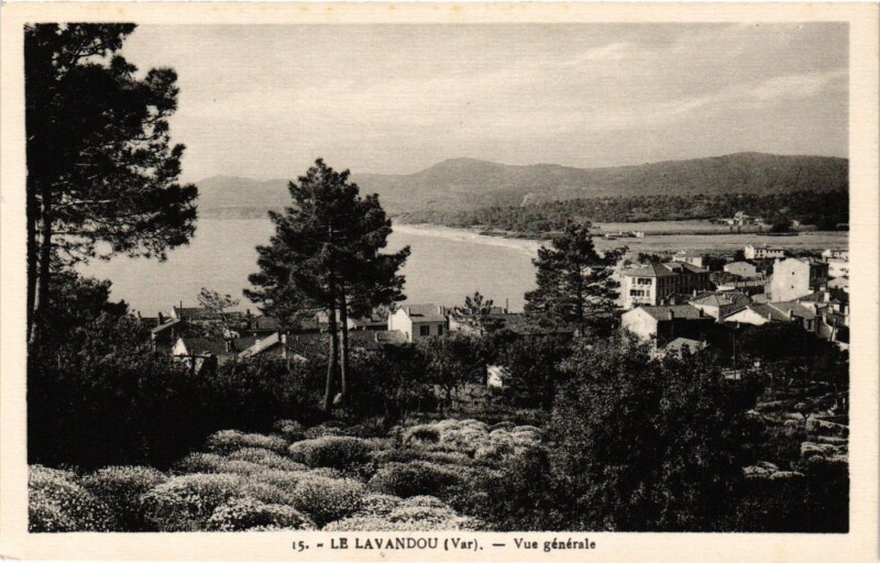 Carte postale ancienne Le Lavandou - Vue générale au Lavandou