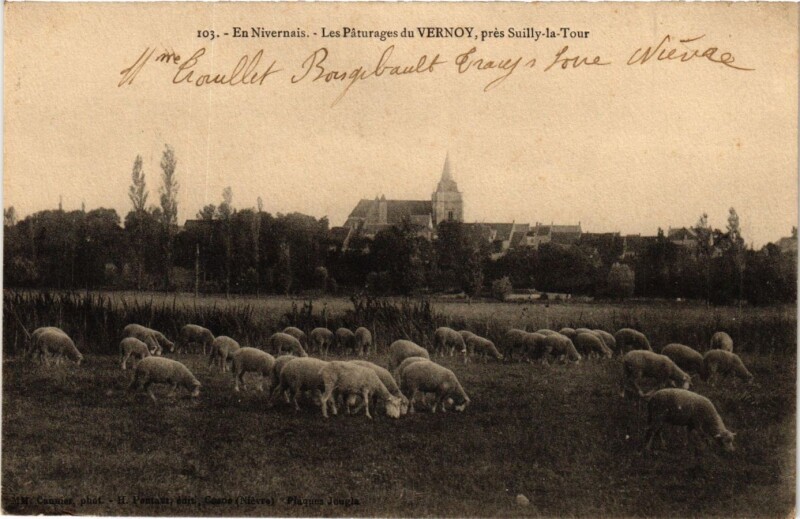 Carte postale ancienne En Nivernais - Les Paturages de Vernoy pres Suilly-la-Tour à Suilly-la-Tour