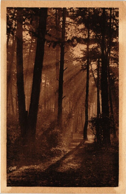 Carte postale ancienne Paris 12e-Bois de Vincennes-Un matin ensoleillé à Paris 12e