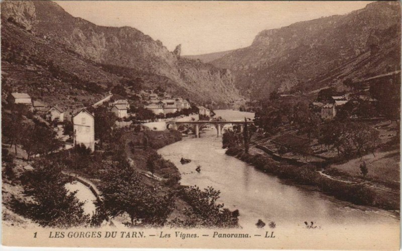Carte postale ancienne Les Vignes Panorama France