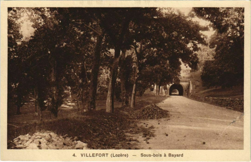 Carte postale ancienne Villefort Sous bois a Bayard France à Villefort