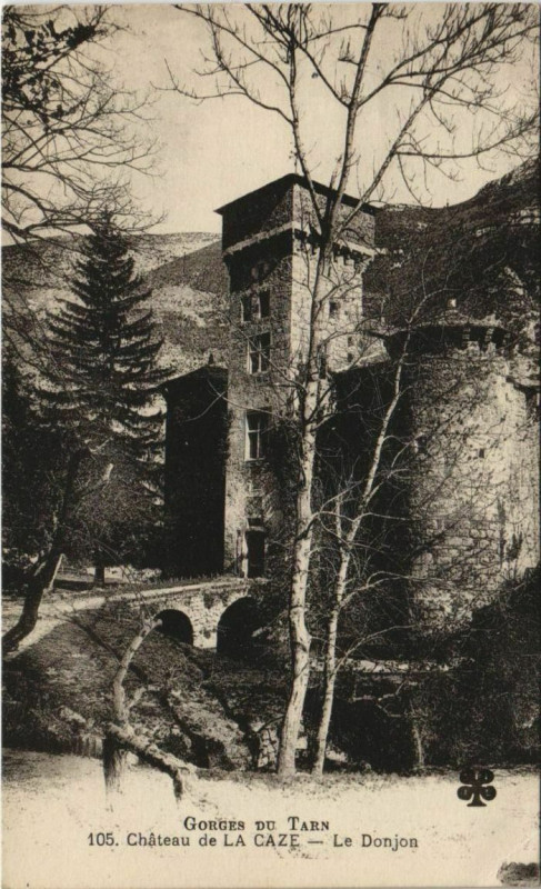 Carte postale ancienne Gorges du Tarn Chateau de la Caze France