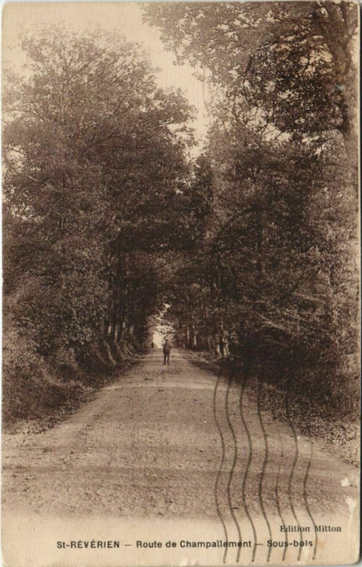 Carte postale ancienne Saint-Reverien Route de Champallement - Sous-Bois