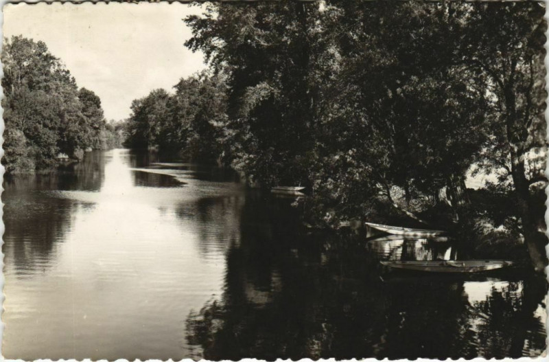 Carte postale ancienne Luxe Vue sur la Charente prise du Pont Neuf