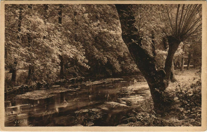 Carte postale ancienne En Saintonge - Region de Saint-Fort