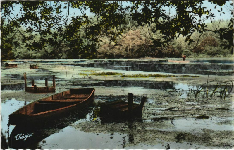 Carte postale ancienne Environs de Ruelle - Sources de la Touvre à Touvre