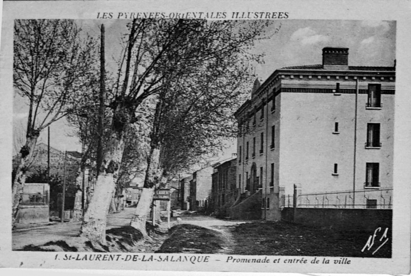 Carte postale ancienne St laurent d ela salanque 1940 1008245
