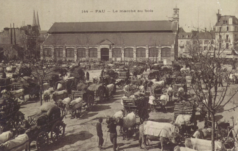 Carte postale ancienne Pau Le marché au bois