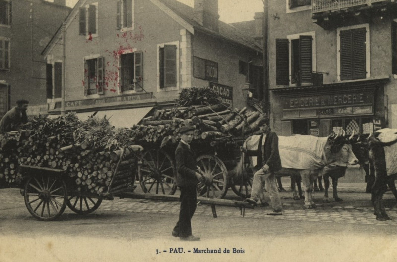 Carte postale ancienne Pau Marchand de bois