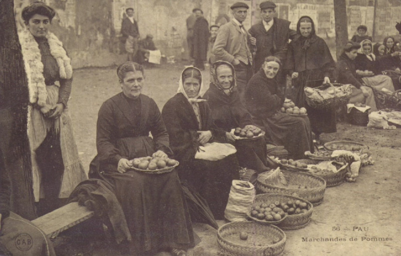 Carte postale ancienne Pau Marchandes de pommes